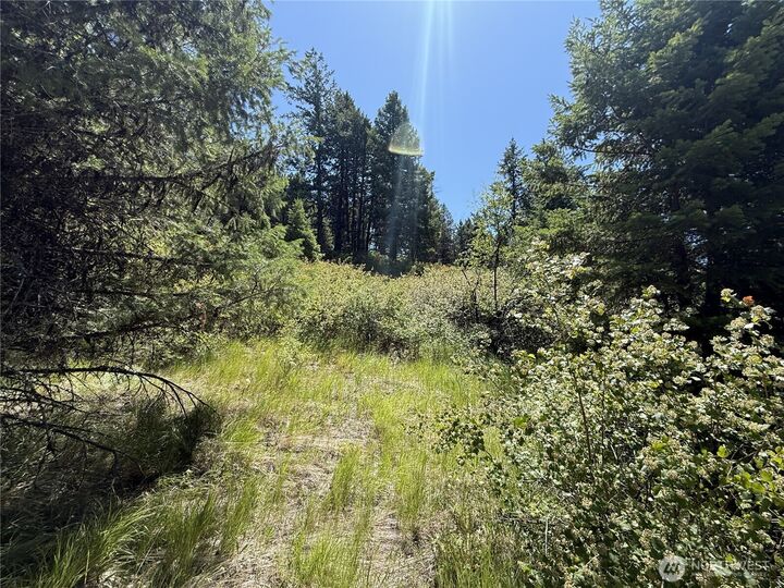 Property Photo: 135 Slippery Hill Lane WA 99166