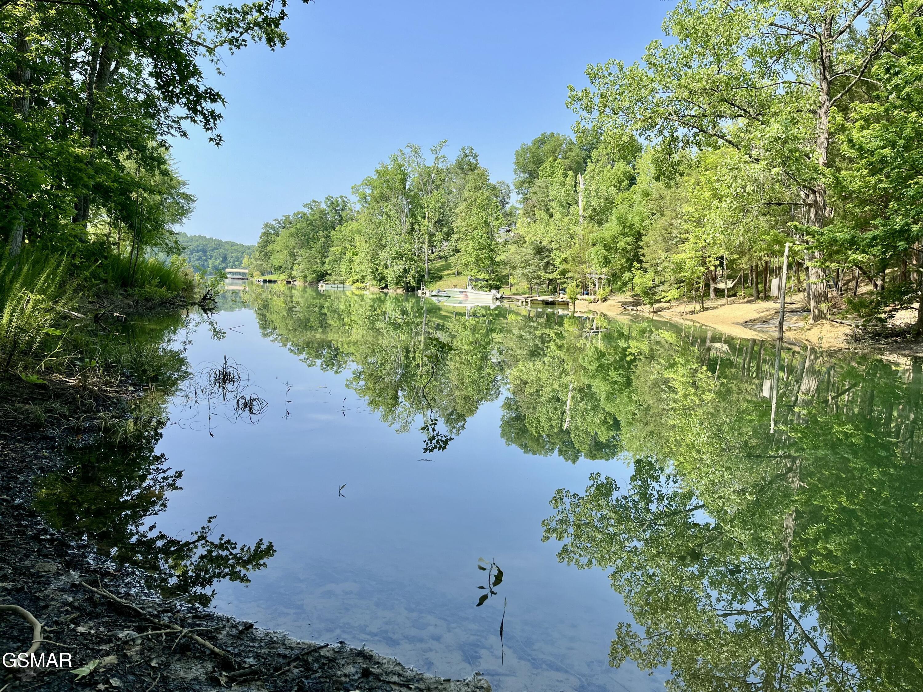 Property Photo:  2431 McQueen Way  TN 37876 