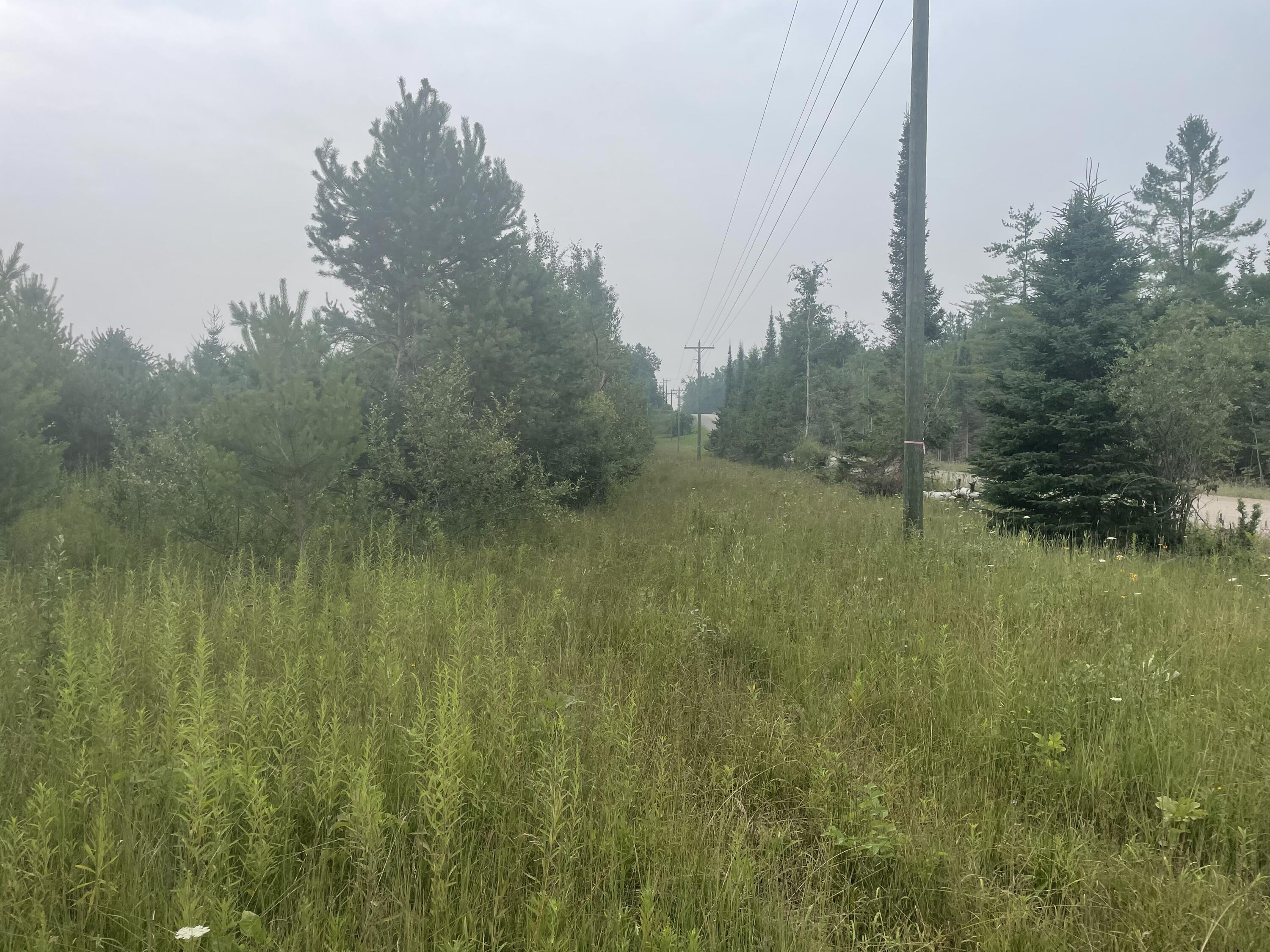 Property Photo:  V/L Reams Road  MI 49749 