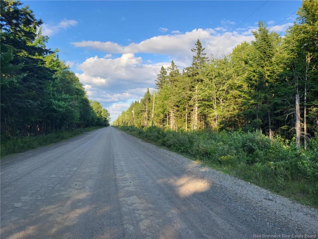 Lot I Zionville Road  Taymouth NB E6C 1Y5 photo