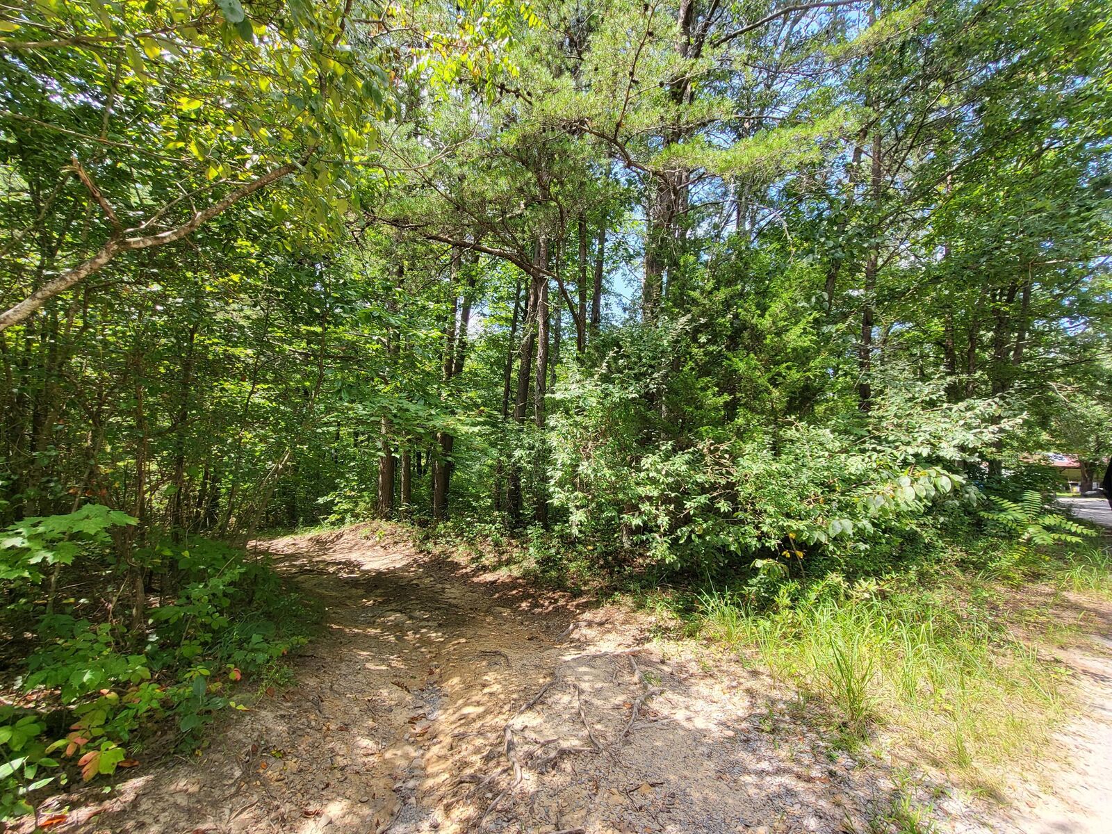 Property Photo: 0 Bowater Road TN 37367