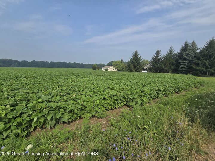 Property Photo: 1 Frost Rd MI 48875