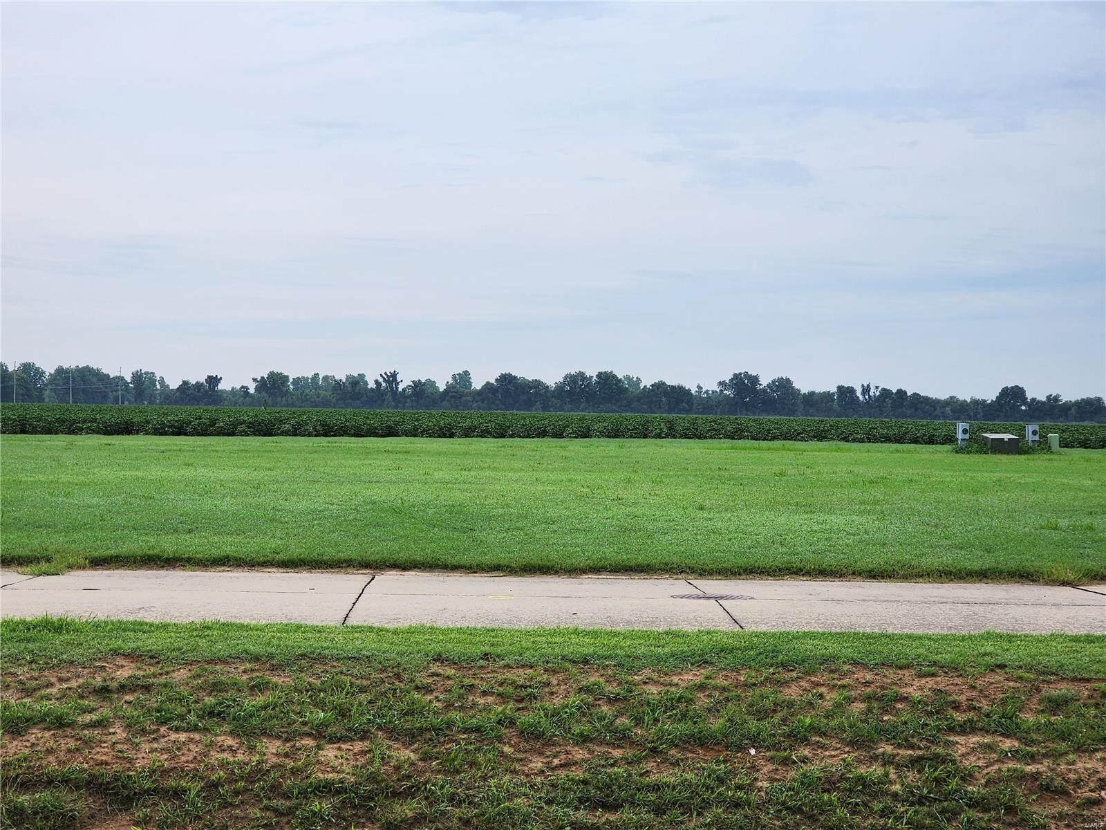 Property Photo:  802 Bollweevil Blvd  MO 63801 