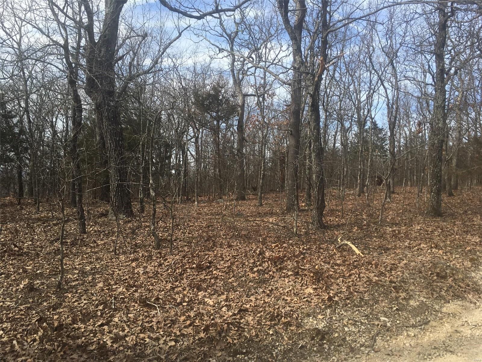 Property Photo: 3 Simms Road MO 63601