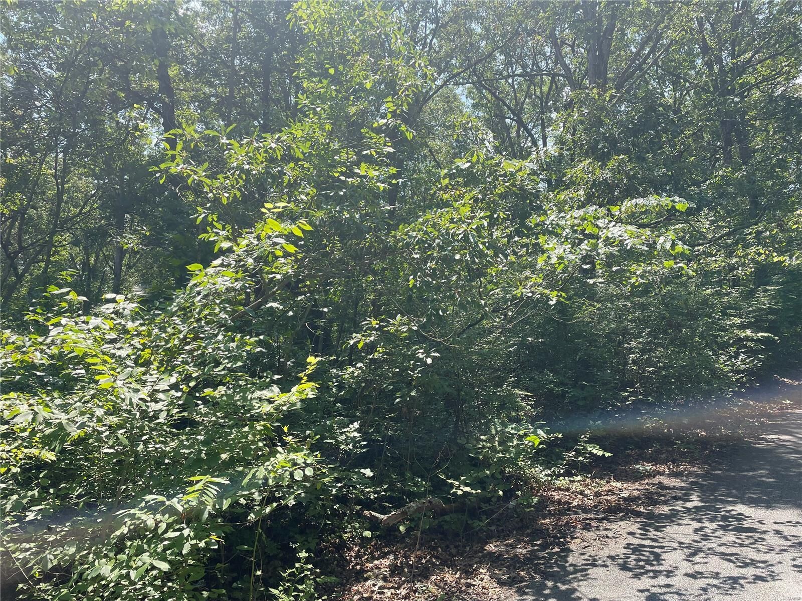 Property Photo: 0 Marathon Drive MO 63020