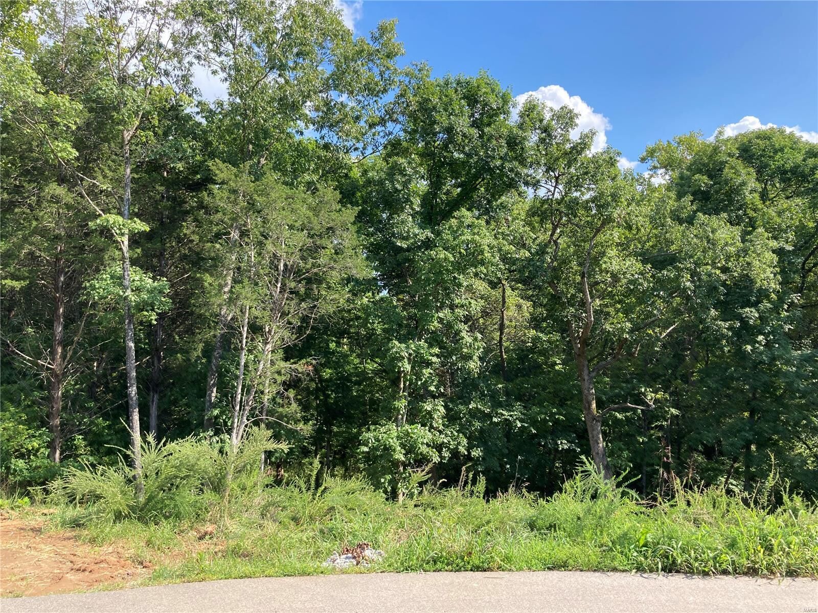 Property Photo: 158 Long Oaks Drive MO 63052