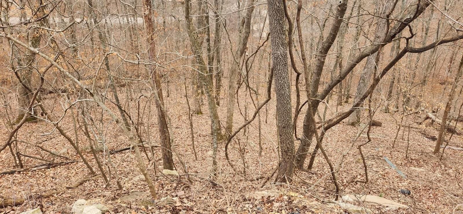Property Photo:  14 &Amp 15 Nottingham  MO 63357 