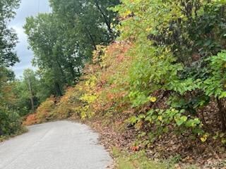 Property Photo:  5226 Nichole Drive  MO 63051 