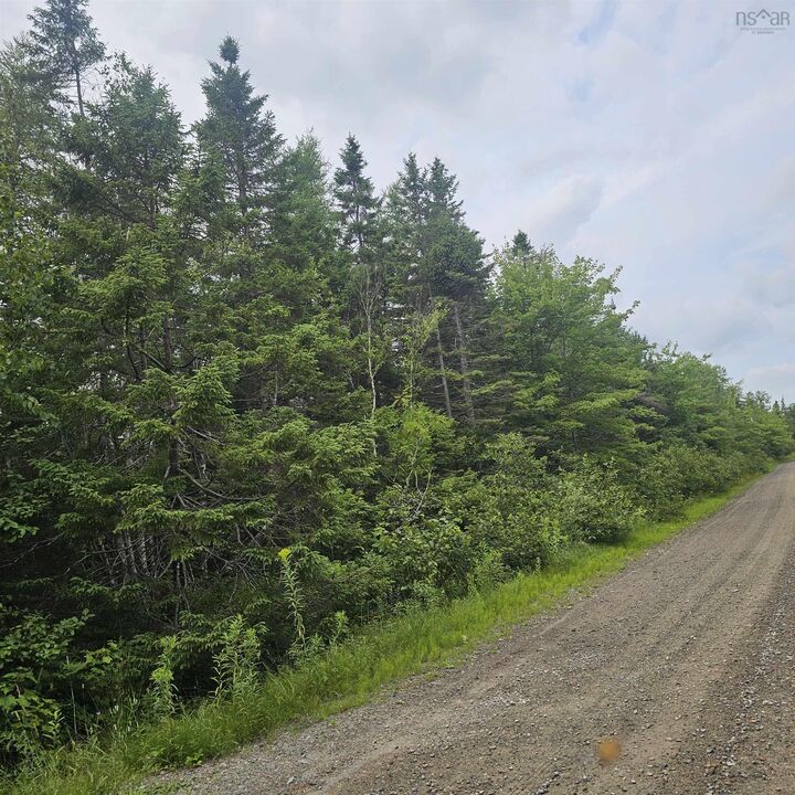 - Alder Road — photo 1