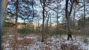 Property Photo:  34 Dove Lane  AR 72631 
