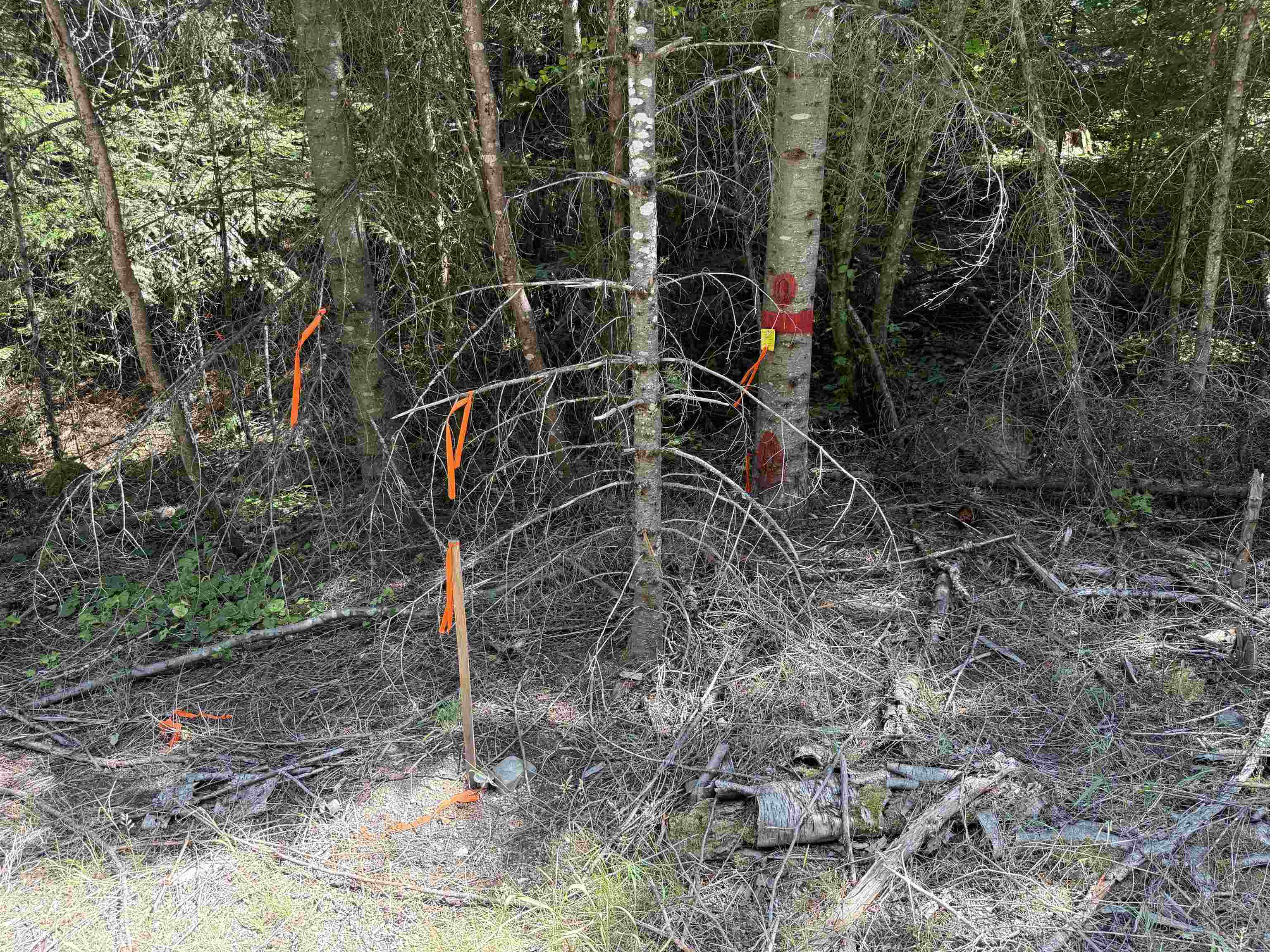 Property Photo:  3516 Deep Lake Boundary Rd  WA 99114 