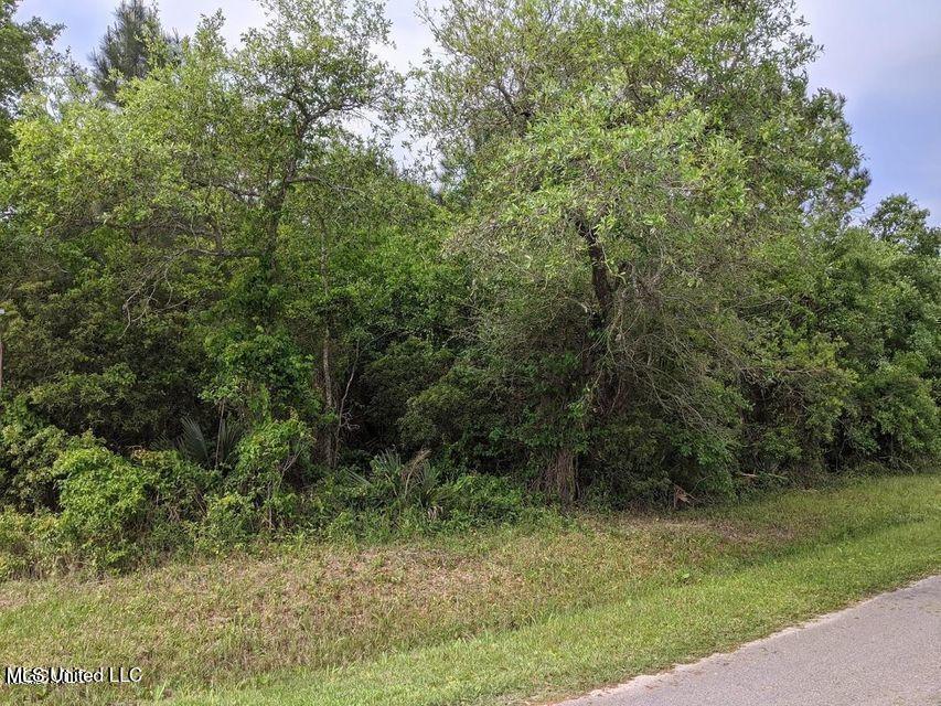 Property Photo: 0 Chapman &Amp Garden Rd Road MS 39520