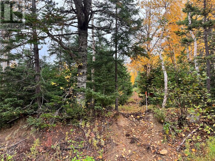 Property Photo:  322 Main Street  NL A0G 3N0 