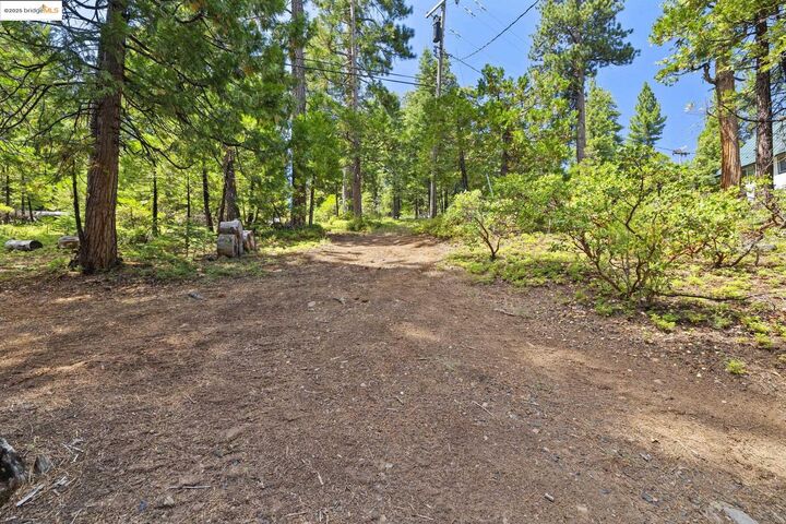 Property Photo: 29668 Alpine Dr. CA 95335