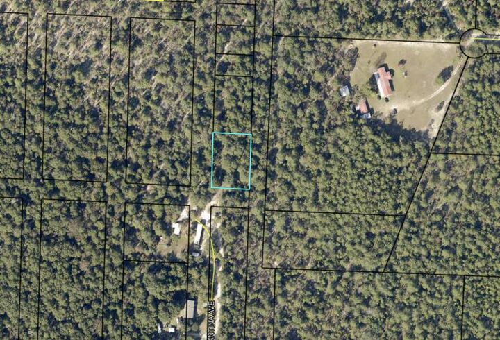 Property Photo:  0.56 Christopher Lane  FL 32539 