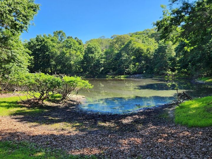 Property Photo:  21 W Bartlett Road  NY 11953 