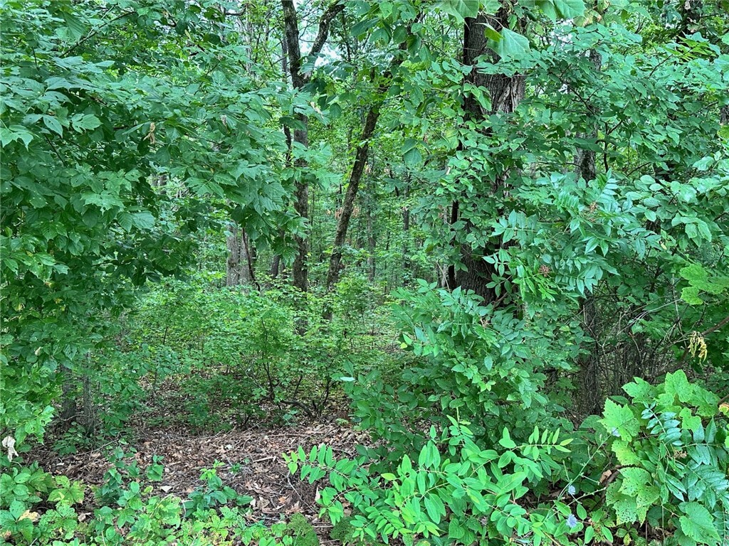 Property Photo:  Lots 3 & 4 Elton Lane  AR 72714 