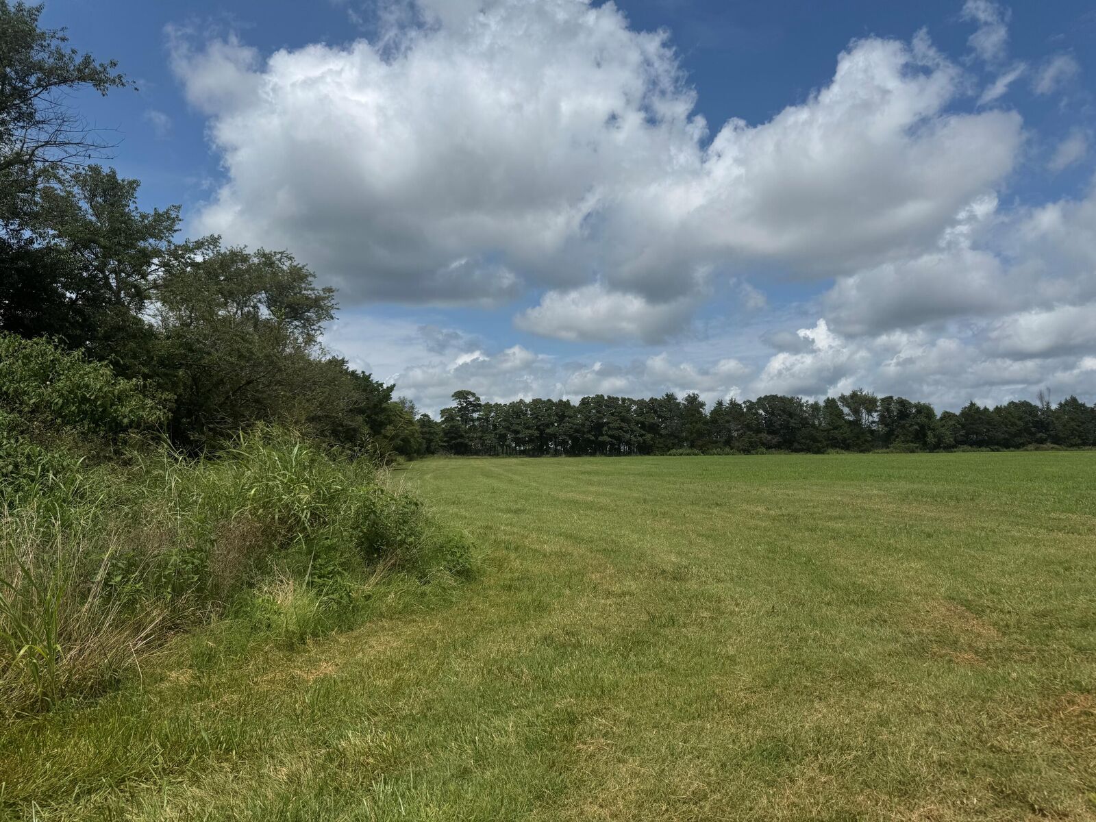 Property Photo:  32673 State Highway 112  MO 65745 