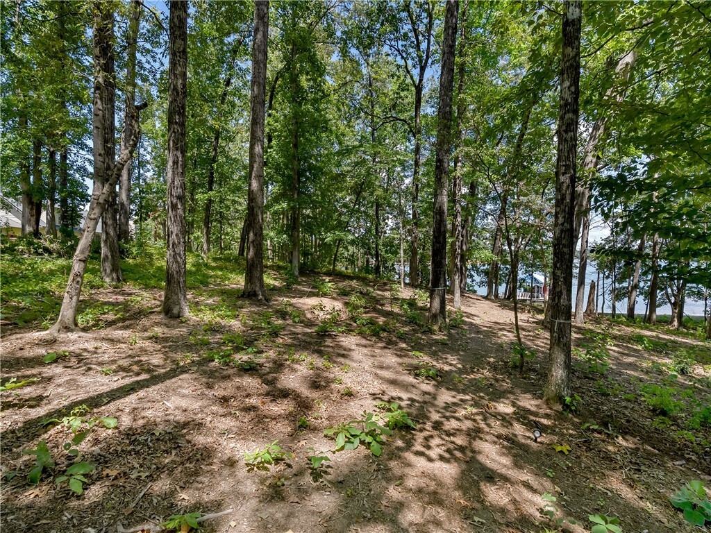 Property Photo: 0 Pointe Harbor Drive Lot 12 SC 29672