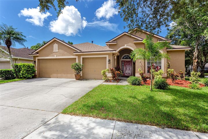10132 Downey Lane  Tampa FL 33626 photo