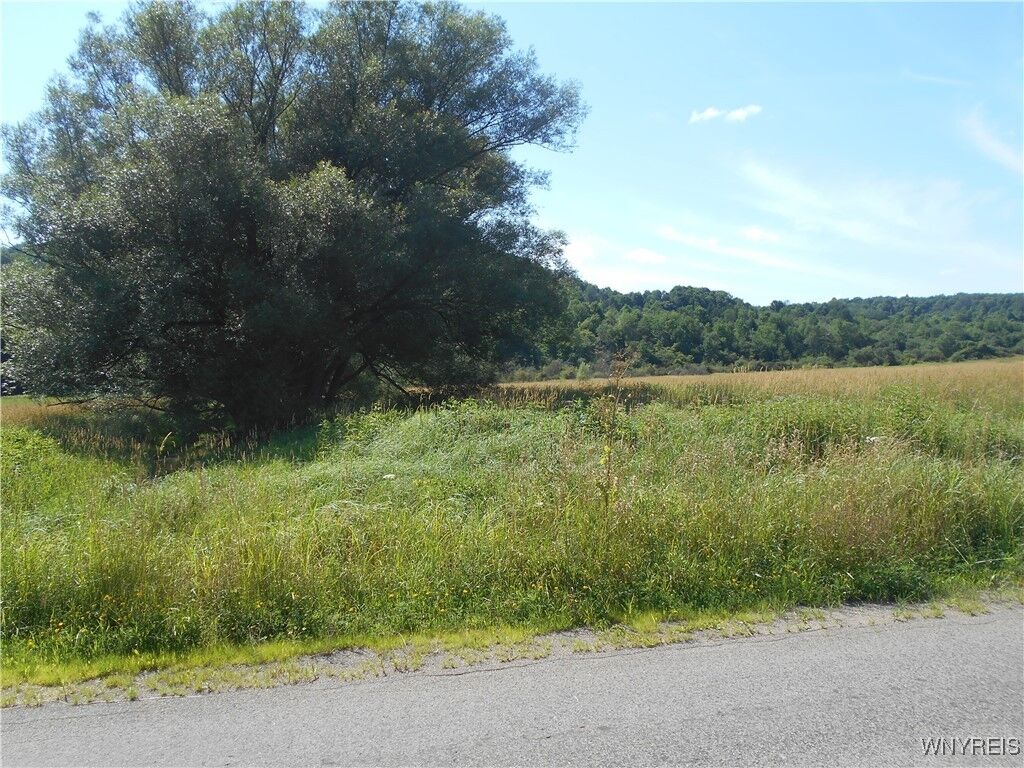Property Photo: 7135 Cadiz Road NY 14737