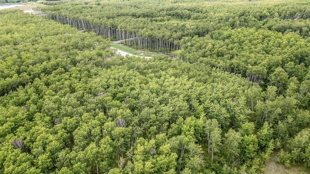 Photo de la propriété:  18 Kingsdale Place  MB R5G 1L9 