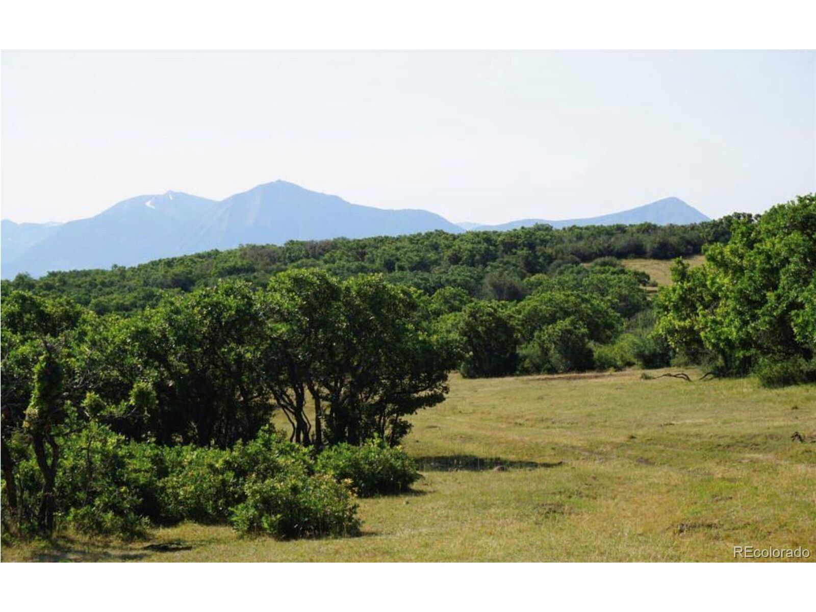 Property Photo:  18965 Johnson Rd  CO 81428 