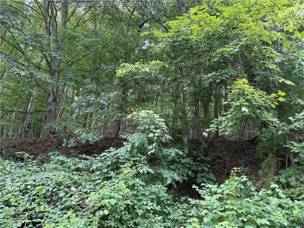 Property Photo:  1037 Maccorkle Avenue  WV 25177 