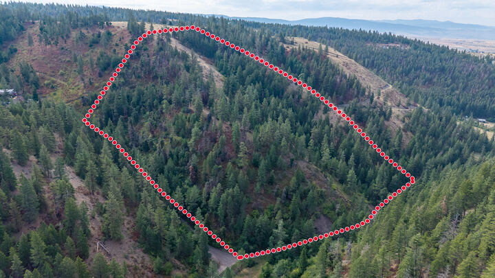Nhn Copper Ridge Trail  Florence MT 59833 photo