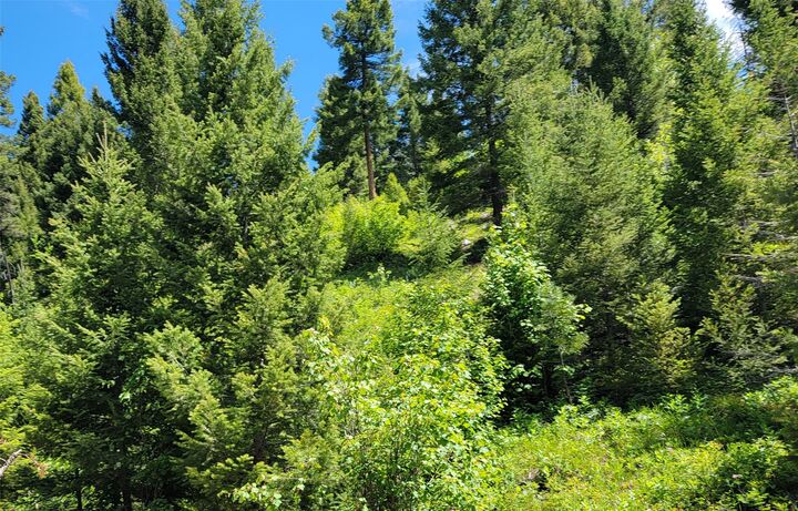 Property Photo:  Nhn West Ashby Creek  Chapeau Lode Road  MT 59823 