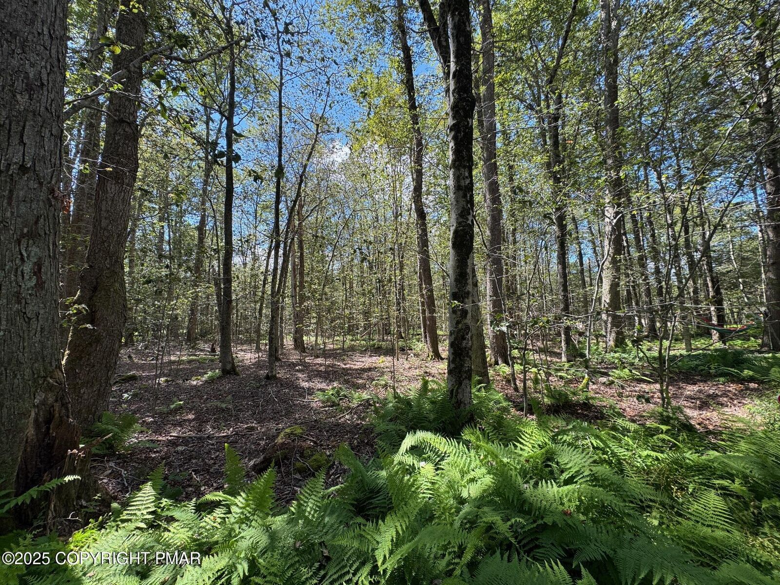 Property Photo: Gross Dr 19 PA 18350