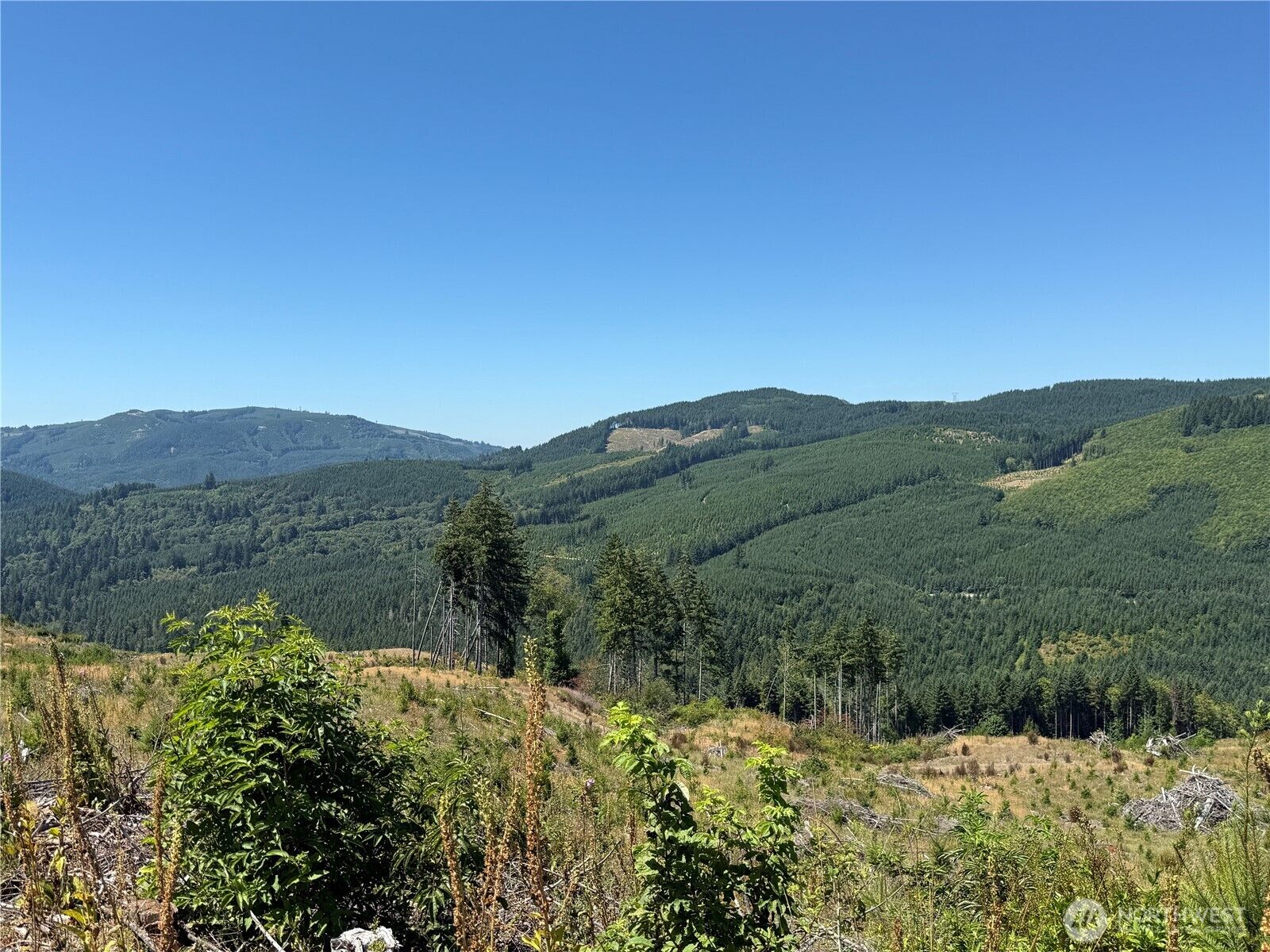 Property Photo:  3725  Little Kalama River Road A  WA 98584 