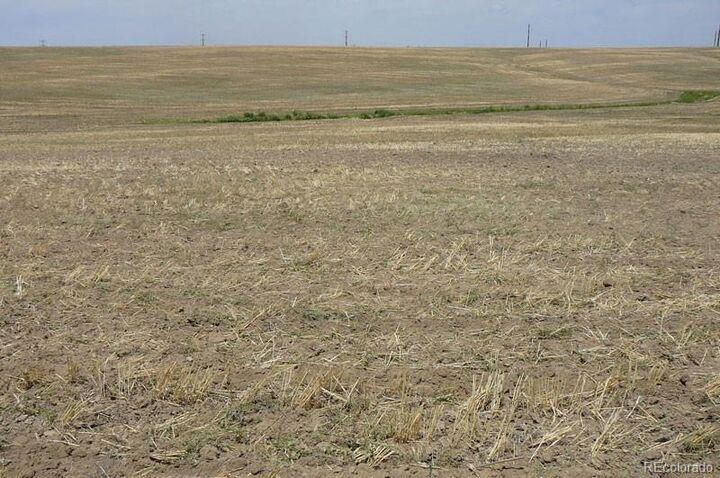 Property Photo:  217 Price Road  CO 80105 