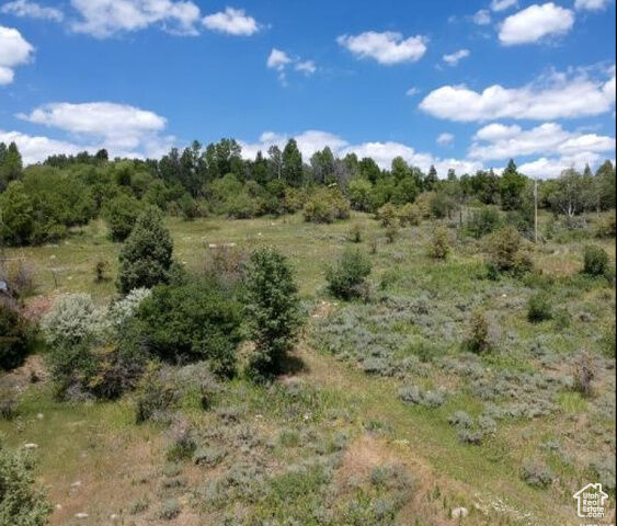 13184 E Evergreen Park Dr  Huntsville UT 84317 photo