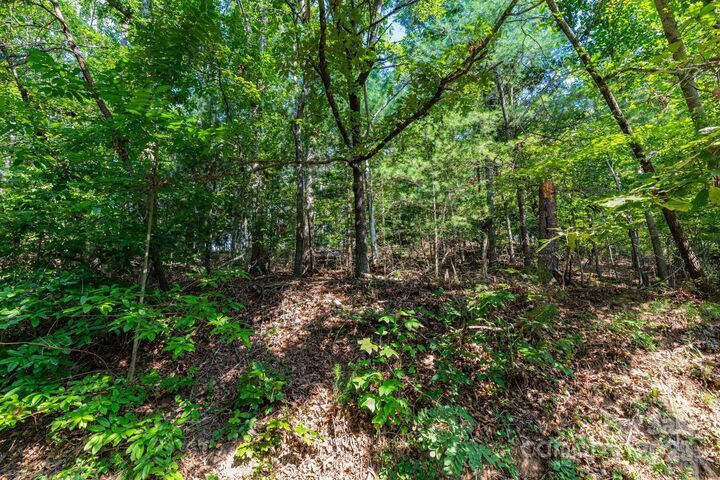Property Photo: 99999 Flynn Branch Road 1 NC 28804