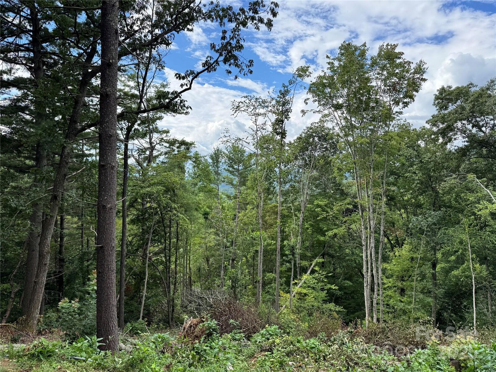 Property Photo:  44 Stanley Hollow Road  NC 28787 