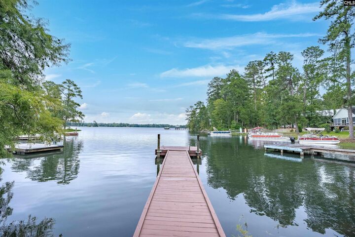 842 Misty Harbor  Chapin SC 29036 photo