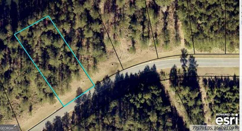 Property Photo:  0 Shoreline Drive  GA 31548 