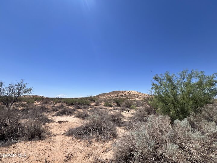 Property Photo:  Tbd Near Desert Storm Road  TX 79938 