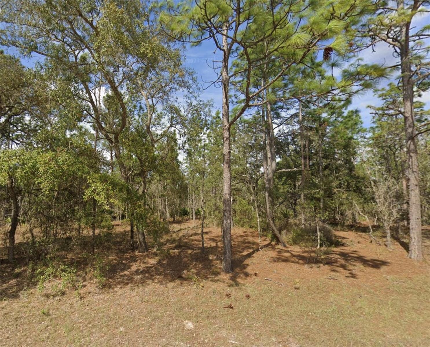 Property Photo: 0 SW 85th Place FL 34432