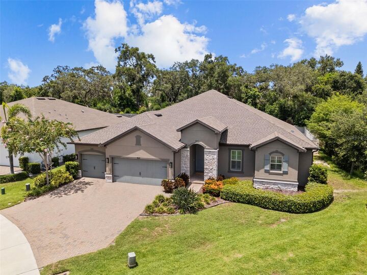 1541 Forest Glen Court  Palm Harbor FL 34683 photo