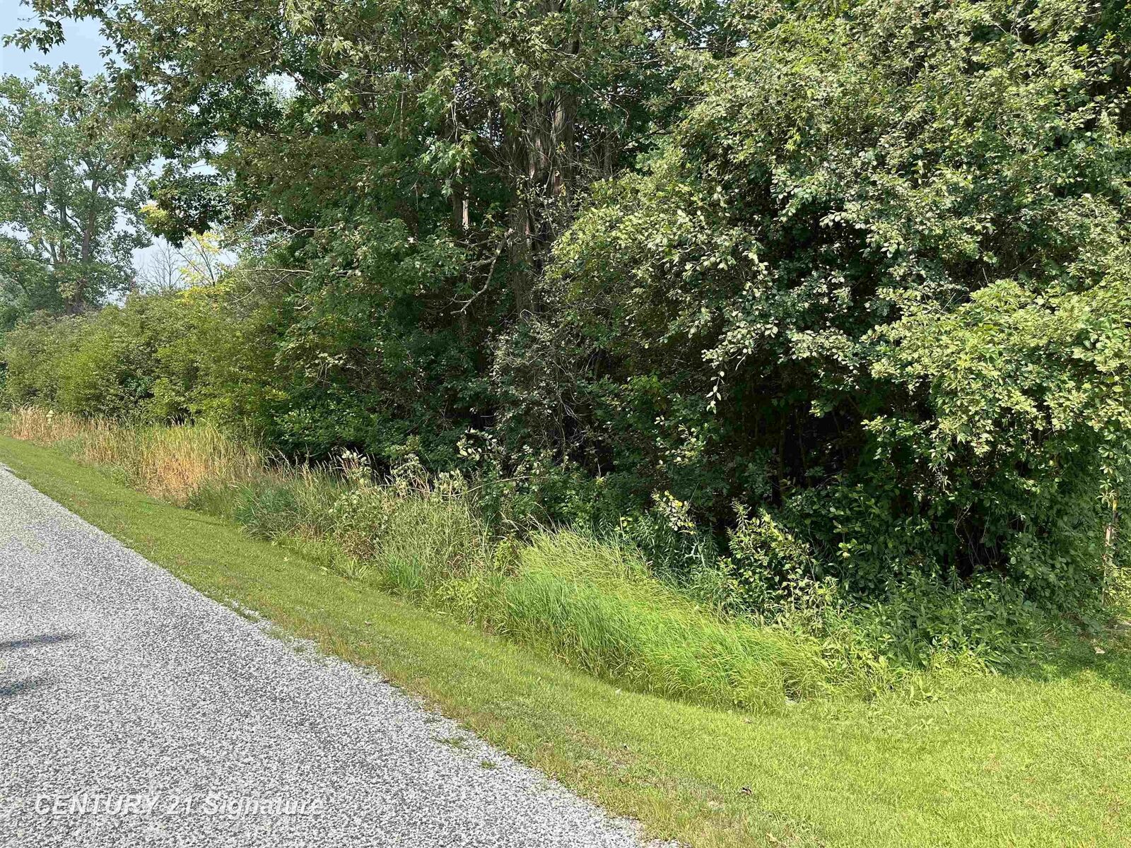 Property Photo:  0 Townline Road  MI 48415 