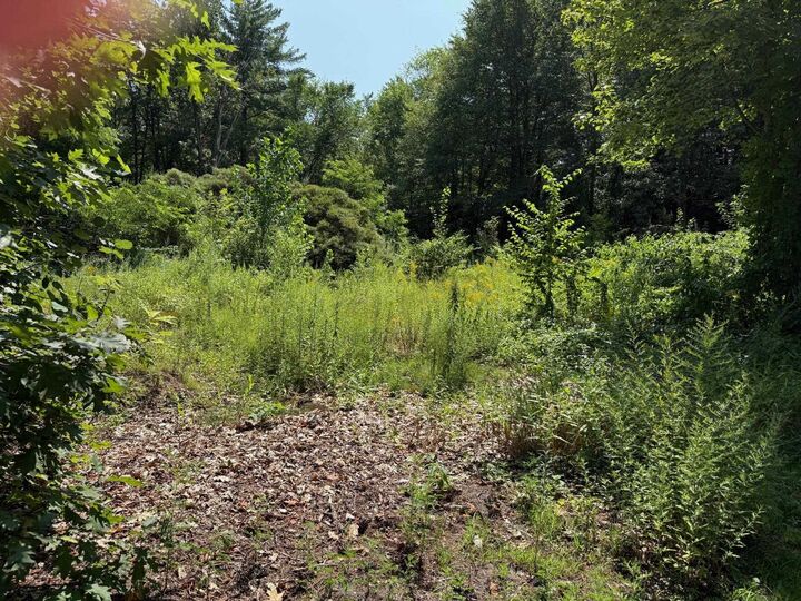 2 Shore Drive  Goffstown NH 03045 photo