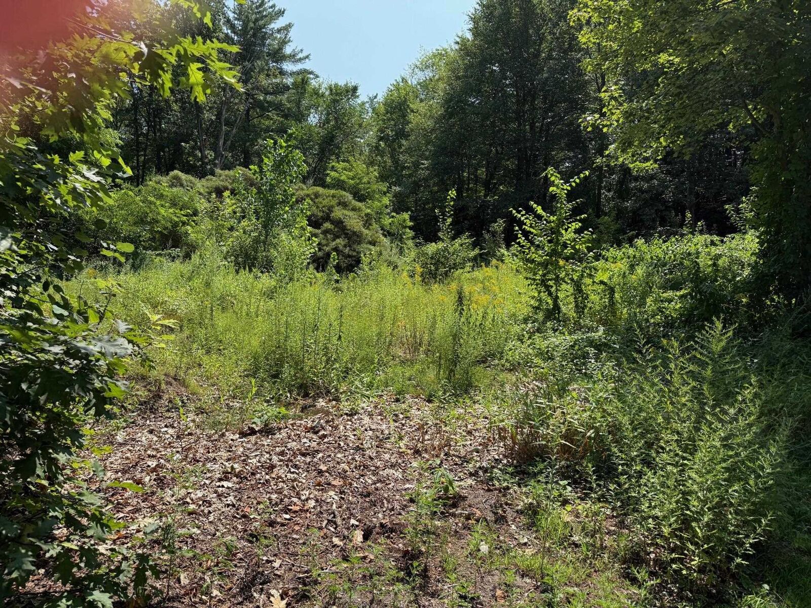 Property Photo:  2 Shore Drive  NH 03045 