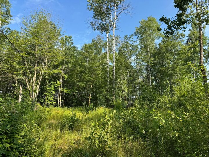 Property Photo: Tbd Highway 23 MN 55007