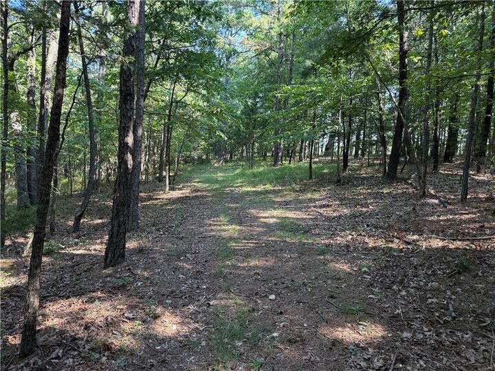 Property Photo:  000 Tract B County Road 516  AR 72616 