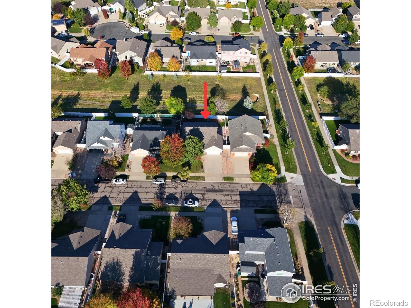 Property Photo: 3218 Grenache Street CO 80634