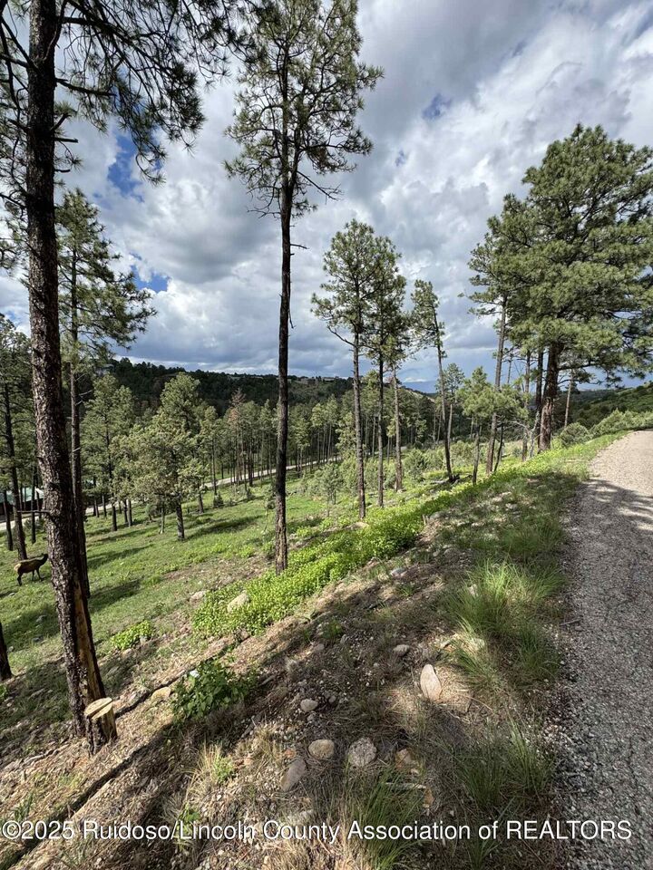 Property Photo:  Lot 68 El Camino Drive  NM 88312 