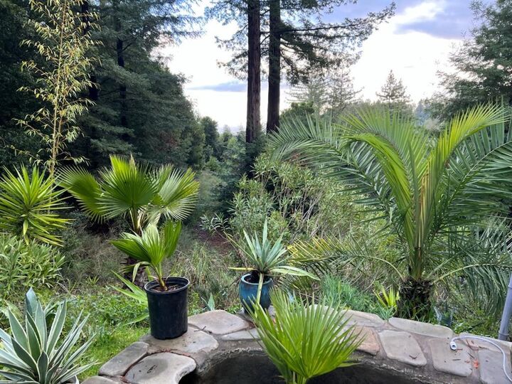 Property Photo: 1385 Amaya Ridge Road CA 95073