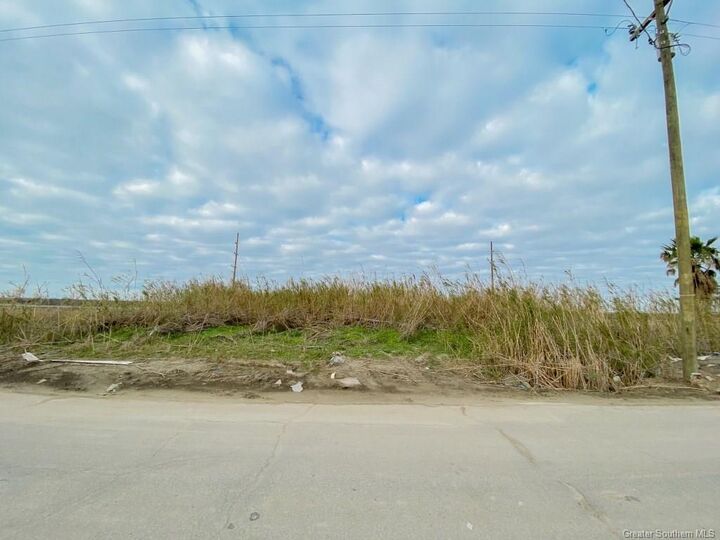 Property Photo: 0 Mallard Street LA 70631